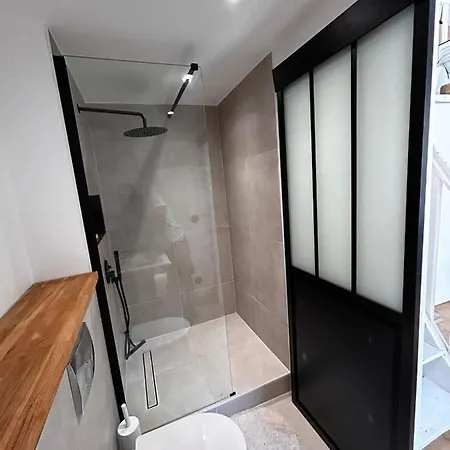 Duplex Sous La Courtine Du Château Appartement Annecy